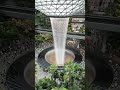 Jewel changi airport - Rain vortex