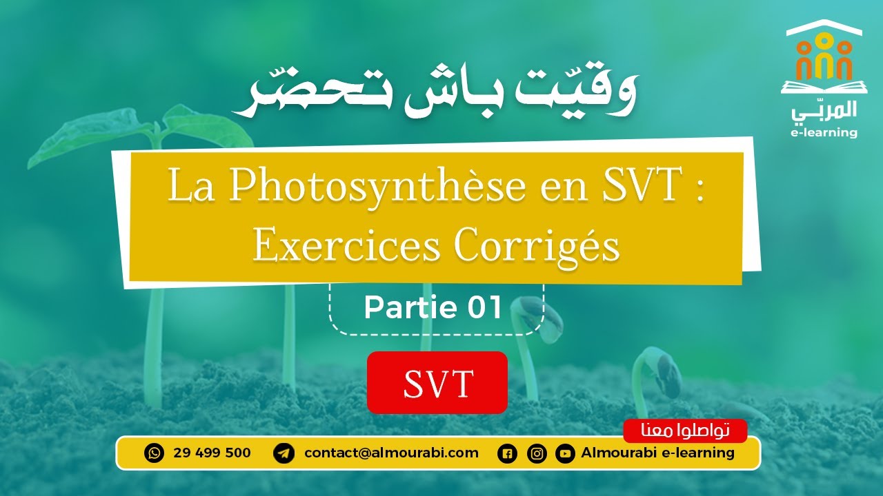 La Photosynthèse en SVT : Exercices Corrigés - 1ère Année Secondaire (Partie 01)