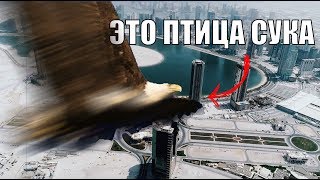КАК ОРЕЛ СБИЛ МОЙ ДРОН КАК ОРЕЛ СБИЛ МОЙ ДРОН