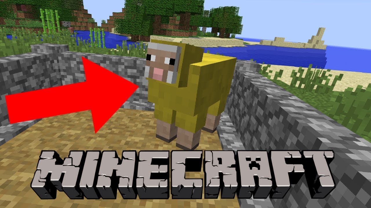Comment Fair Spawner Des Mouton Dans Minecrafte