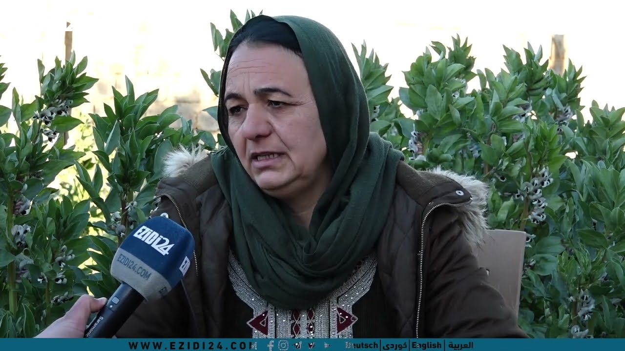 ناحية القحطانية : مجمع كرزرك رغم عودة عدة عوائل الا انه يفتقر للكثير من الخدمات