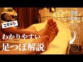 【睡眠用】わかりやすく、足つぼの反射区を解説💤/エキテンチャンネルコラボ/池袋シュエット