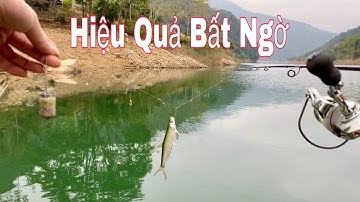 Hướng Dẫn Câu Cá Mương Sông Tự Nhiên Bằng Thẻo 7 Lưỡi, Cho Người Mới Tập Câu - Hạnh Fishing