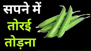 Download Lagu सपने में तोरई तोड़ना || Sapne me torai todna || Picking ridge gourd in a dream || #duniyasapnonki 