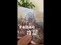 500元鈔票大揭秘，帶你看看有哪些細節 #鈔票 #防偽