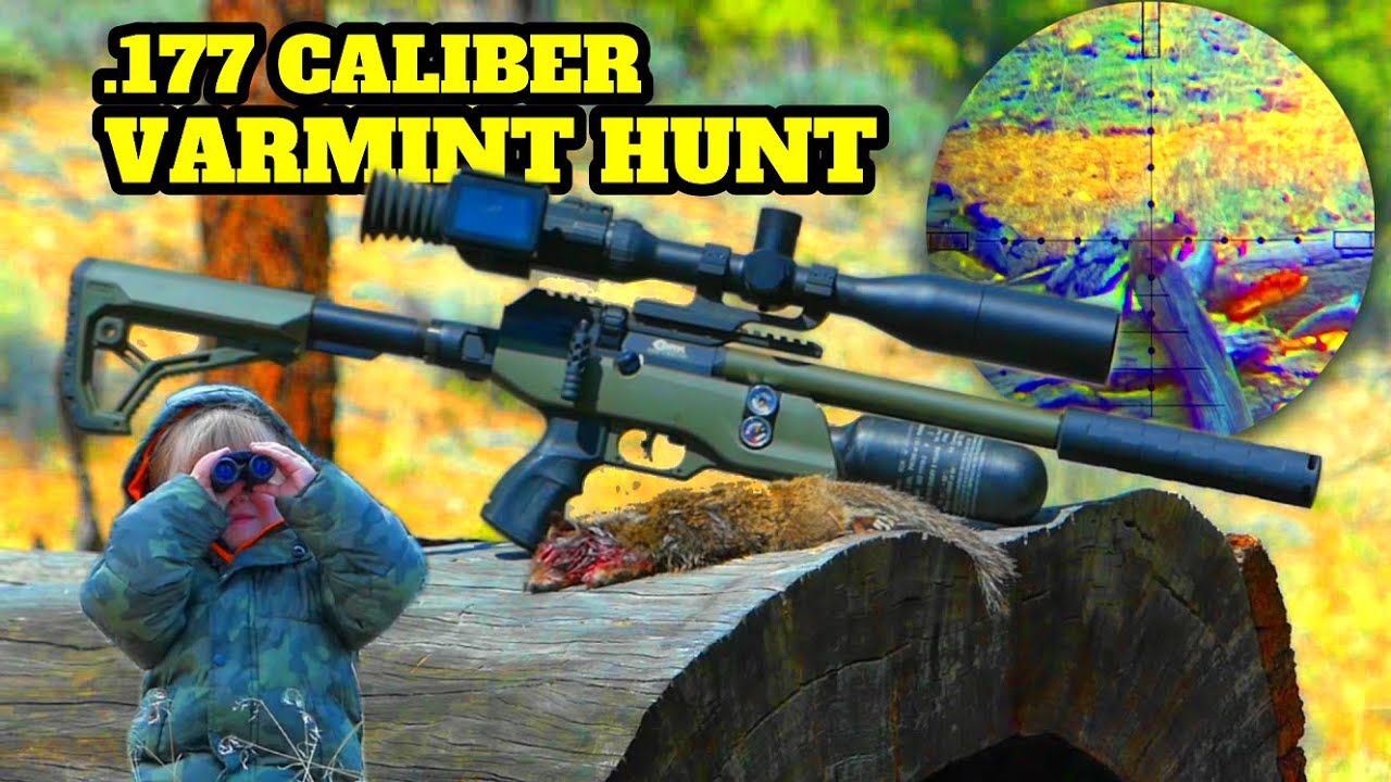 Are Small Caliber Airguns Effective on Ground Squirrels? BRK Pathfinder .177 in Action!