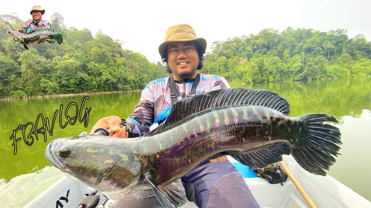 TOMAN MASIH NAK BONE HOVER JET 130