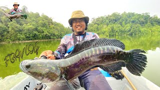 Toman Masih Nak Bone Hover Jet 130