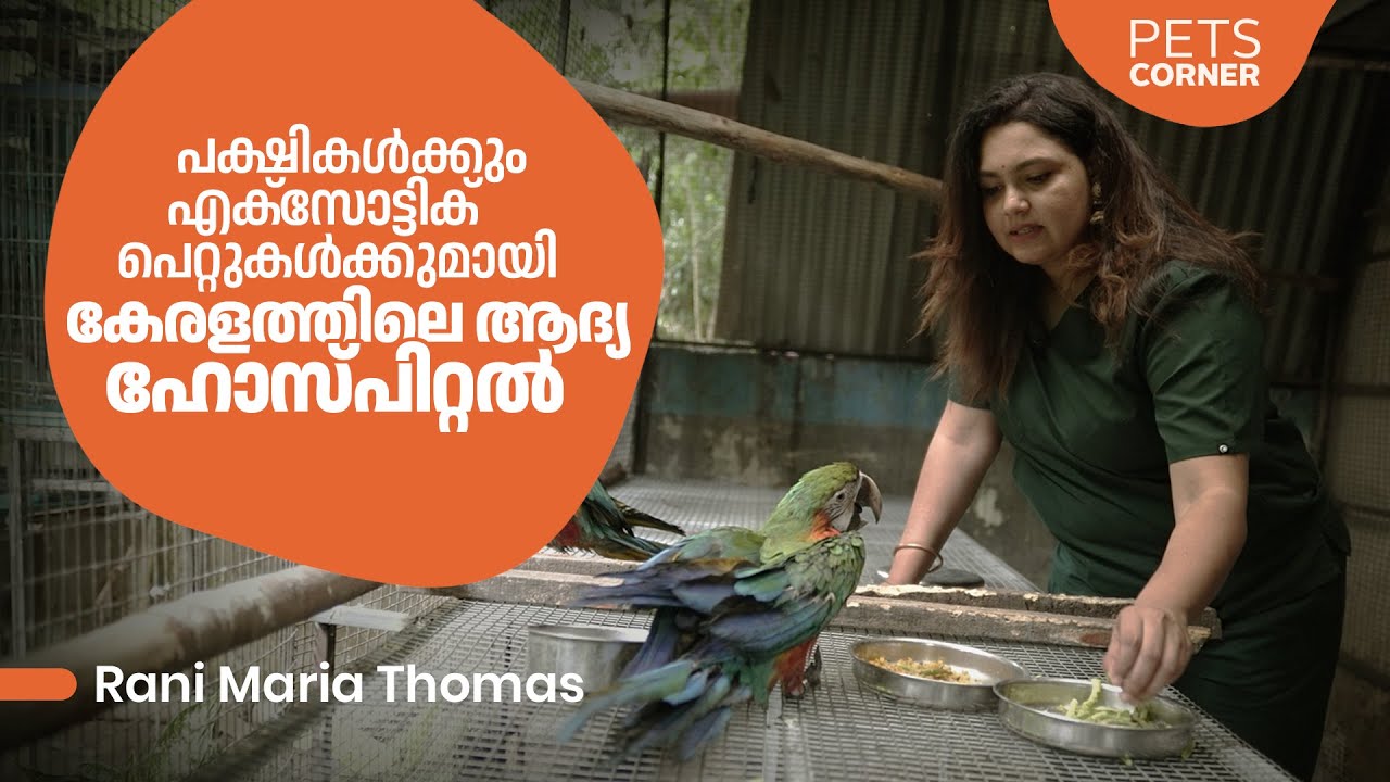 Maria Rani Center പക്ഷികൾക്കും എക്സോട്ടിക് പെറ്റുകൾക്കുമായി കേരളത്തിലെ ആദ്യ ഹോസ്പിറ്റ ...