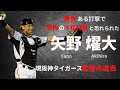 現阪神タイガース監督の過去「恐怖の下位打線」と呼ばれた打撃 阪神タイガース 矢野 燿大