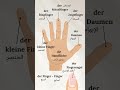   اسماء الأصابع باللغة الألمانية 