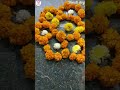 Diwali mini vlog#day to night diwali vlog#diwali celebrations#shorts