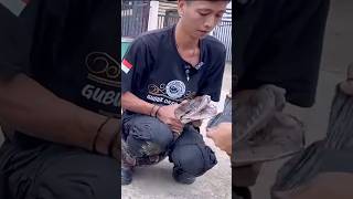 This man shows Teeth of a python #snake #python #pets #animals #sharp #teeth #bite #fyp #foryou