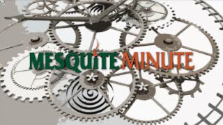 Mesquite Minute 2/19/16