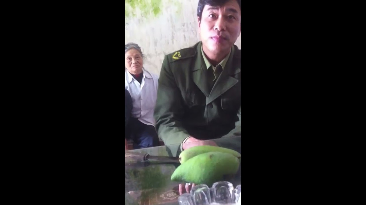 CA GIAO GIẤY TRIỆU TẬP CỐ TÌNH NGỒI LÊN LUẬT - youtube