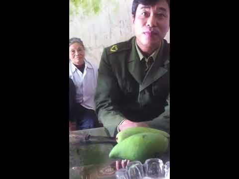Video CA GIAO GIẤY TRIỆU TẬP CỐ TÌNH NGỒI LÊN LUẬT - youtube