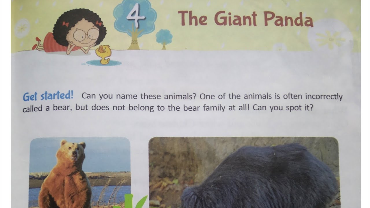#The Giant Panda #Class-3, # Lesson-4, #Rainbow English #Explained in ...