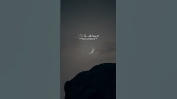محمد ايوب - سورة طه | قال فمن ربكما يا موسى #قران #آية  #تلاوة_خاشعة #راحة_نفسية #محمد_ايوب #تلاوة