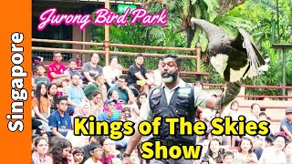Jurong Bird Park in Singapore | Kings of The Skies ?