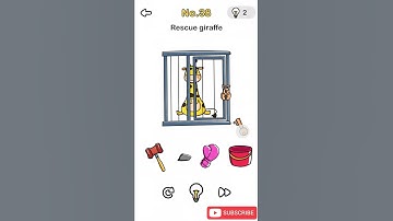 Brain Out Level 38 (Updated) Answer and Walkthrough