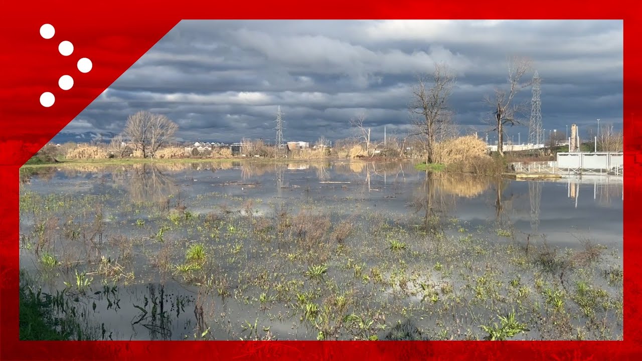 Monza, il Lambro esonda nei campi nel quartiere San Rocco