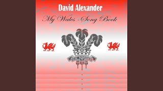 Video thumbnail of "David Alexander - Working Man"