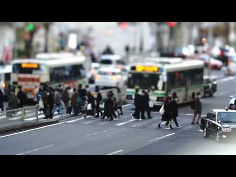 Video: Sunkus Kanados autobusas 