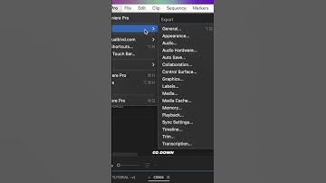 Do THIS To SAVE HOURS In PREMIERE PRO!!