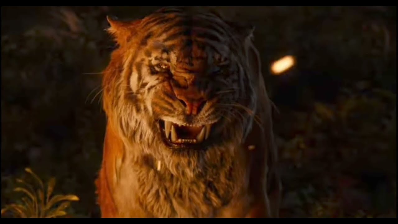 The Jungle Book (2016) Mowgli vs. Shere Khan (Resounded by me)