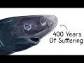 The Greenland Shark That Ate A Polar Bear