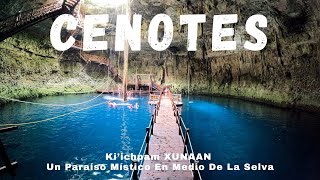 VISITAMOS uno de los CENOTES más INCREÍBLES en medio de LA SELVA MAYA 😱  Ki’ichpam XUNAAN 🇲🇽