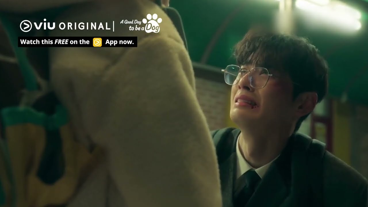 Cha Eun Woo Opens Up About Being Bullied to Park Gyu Young 🥺 | Watch FREE on Viu