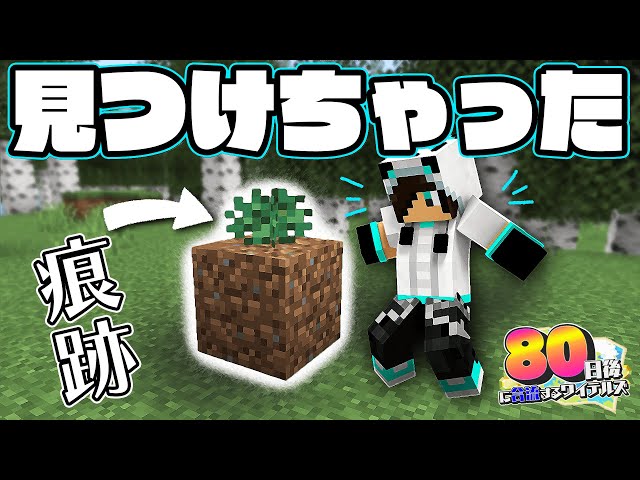 sddefault.jpg
