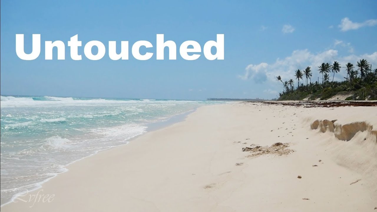 Wild Beach in Punta Cana Dominican Republic