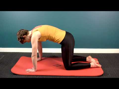 How to perform a cat cow stretch for back pain