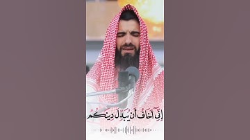 مزمار من مزامير ال داود #مزمار #قرآن #مزامير_آل_داود #صوت #تلاوة #تلاوات_خاشعة