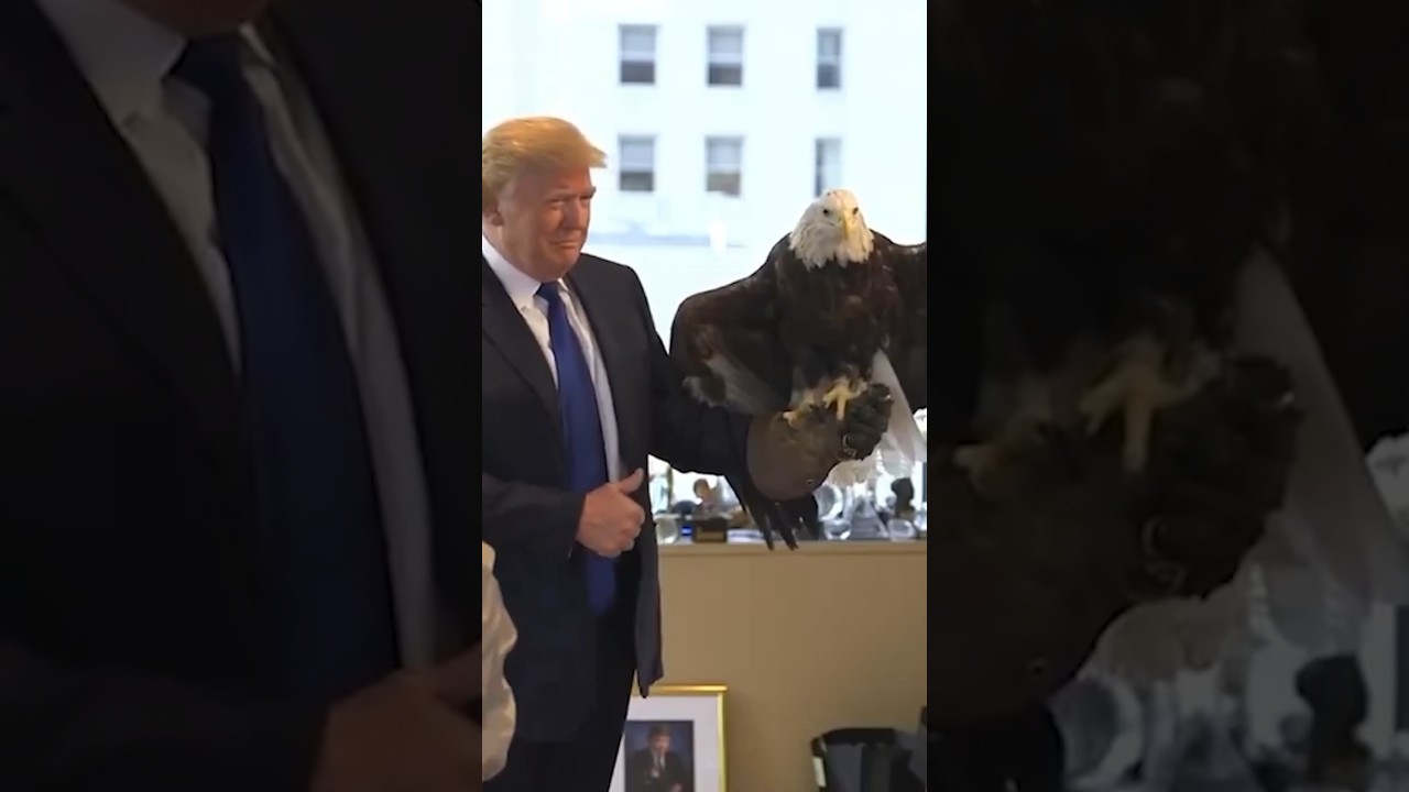 LOST FOOTAGE: Trump TAMES Bald Eagle in his OFFICE