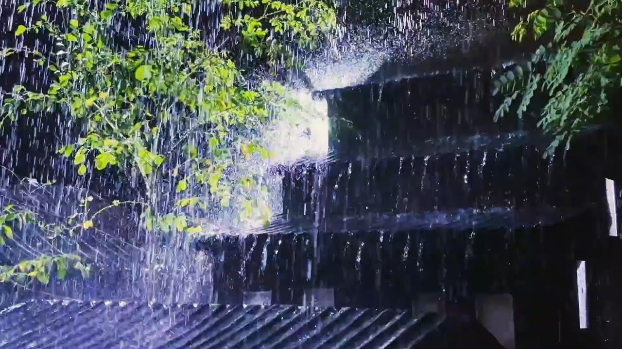 Instant Deep Sleep with Rain and Thunder Sounds || ASMR for Insomnia Relief ⛈️⛈️