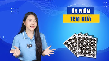 Tem Giấy – Chuyên In Tem Giấy, Tem Nhãn Chất Lượng Cao | Vinpack