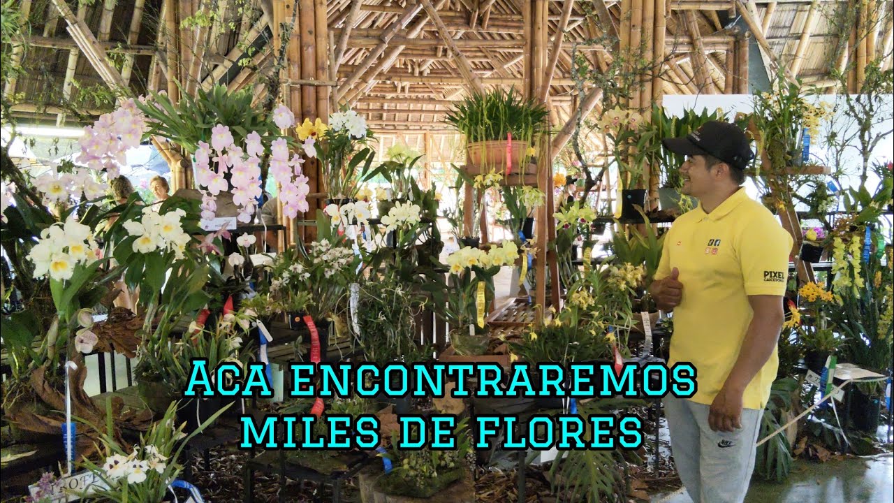 Acompañame a un hermoso recorrido donde encontraremos muchas flores/Pereira Risaralda,Colombia.