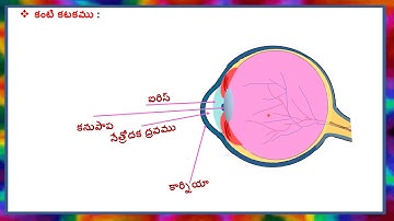 మానవుని కన్ను–రంగుల ప్రపంచము : మానవుని కంటి నిర్మాణము మరియు కంటి కటక గరిష్ట , కనిష్ట నాభ్యాంతరాలు