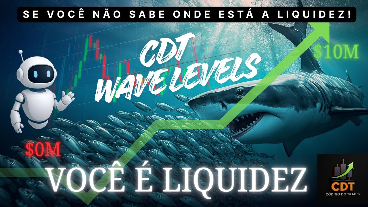 CDT WAVE LEVELS. SURFE COM OS TUBARÕES