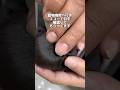 右目がなく産まれた子 エコーで眼球の確認