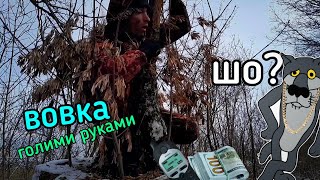 Спіймав Вовка Голими Руками. Ловушка На Вовка. Хто В Лісі Хазяїн