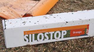Silostop Maize