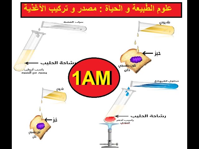 علوم الطبيعة و الحياة أولى متوسط الدرس 1 التغذية عند الإنسان