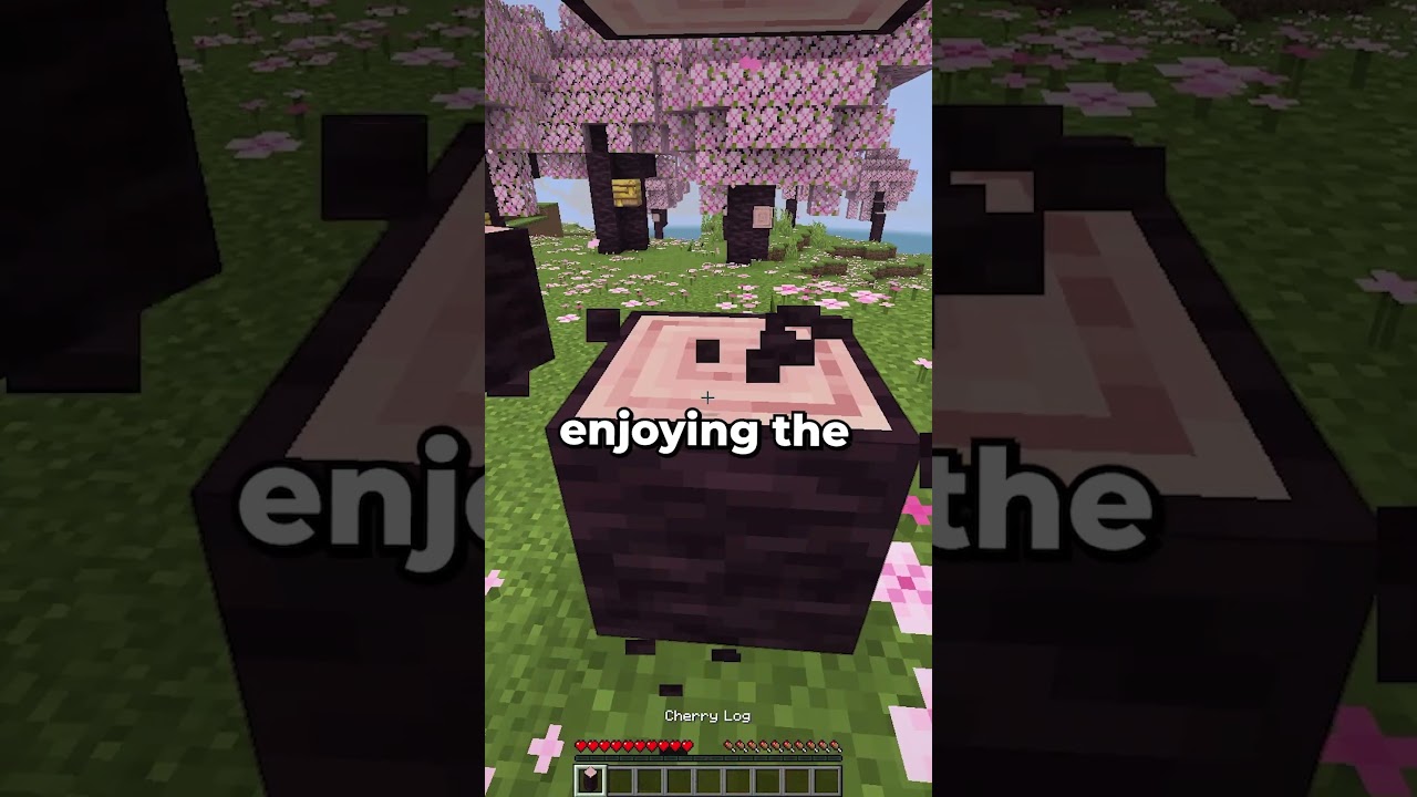 I joined this server in Christmas Break #shorts #minecraftserver #crystalpvp