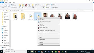 Face Detection With PCA OpenCV Python