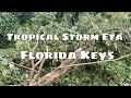 Tropical Storm ETA Florida Keys Garden Aftermath