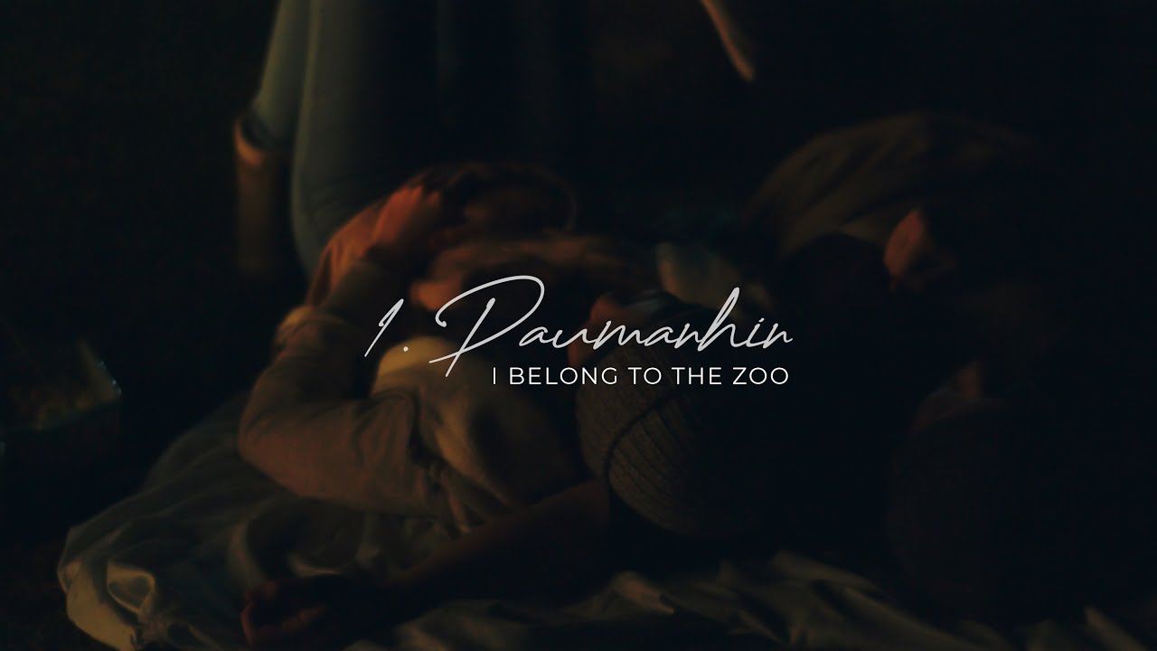 I Belong to the Zoo - Paumanhin (Official Music Video)